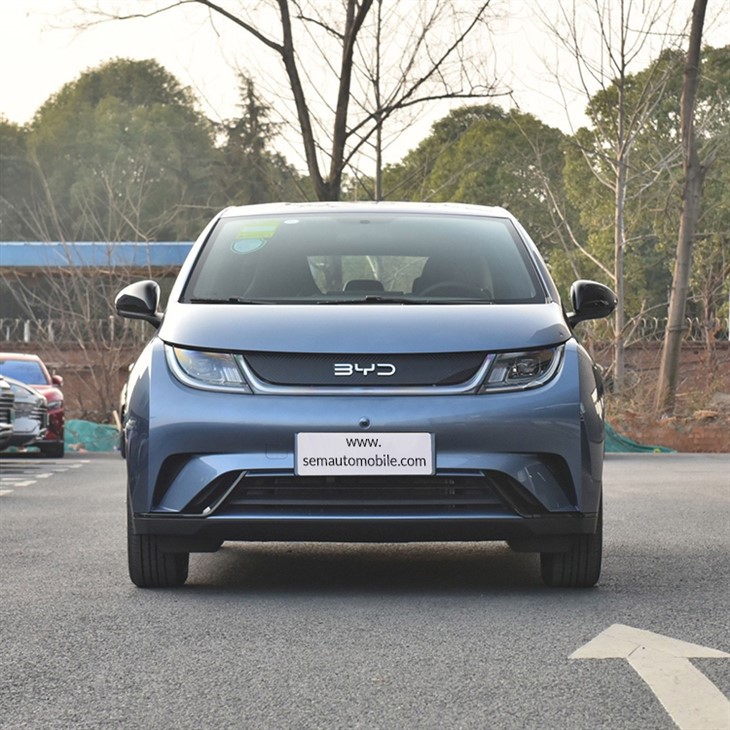 2024 BYD Dolphin Pure Electric Minicar