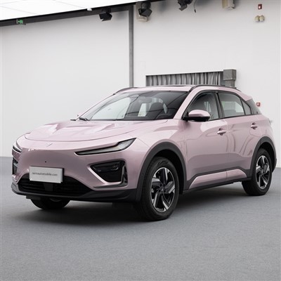 2024 Neta X Kompakt-SUV