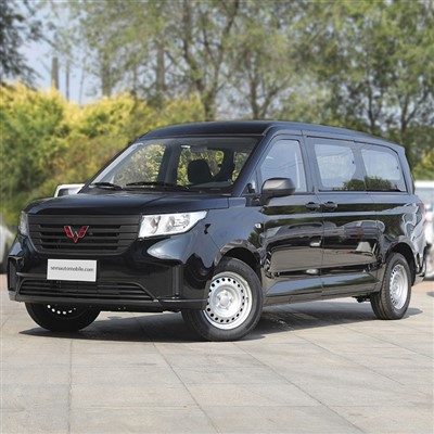 Wuling Zhengcheng Reise MPV